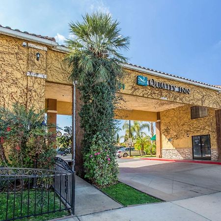 Quality Inn Hemet - San Jacinto Exterior foto